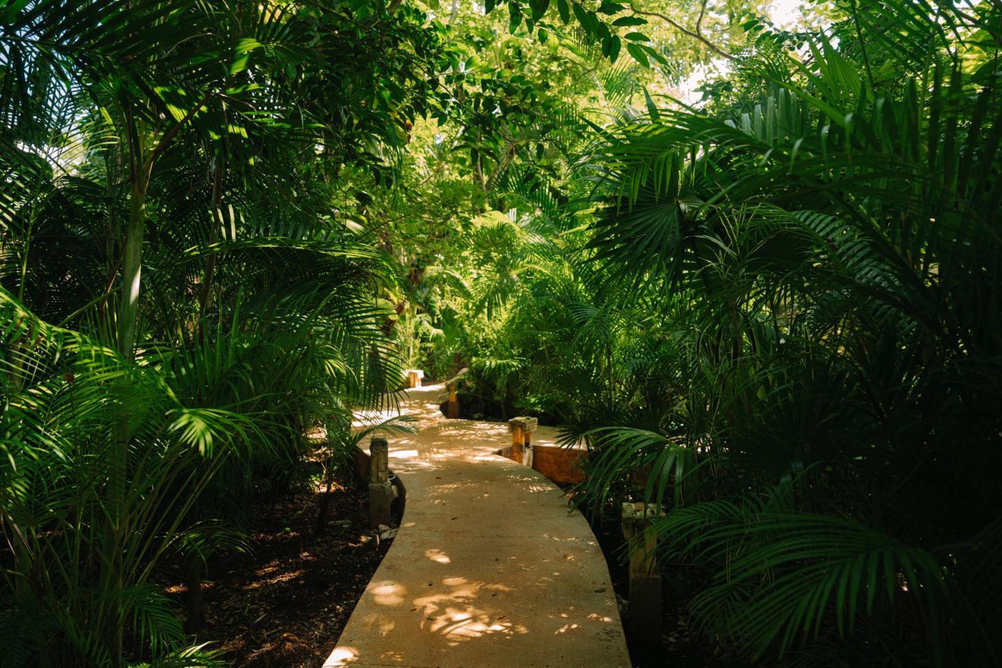Aldea Coba An Escape Boutique Experience Hotel Exterior photo